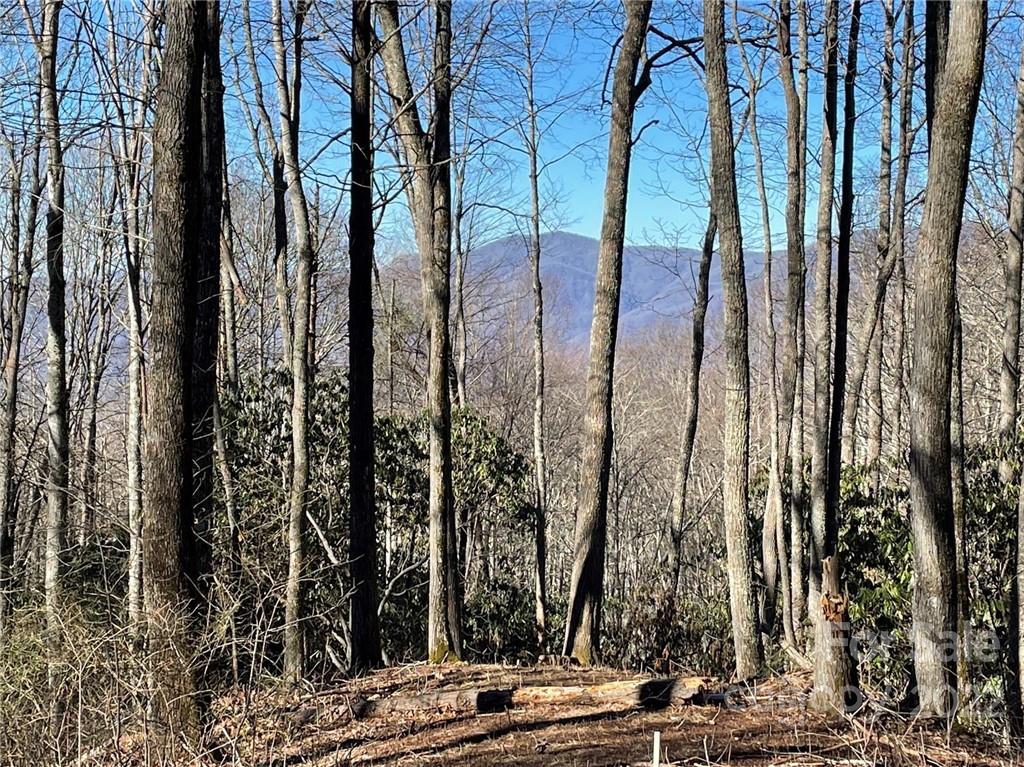 3643 Preserve Road, Unit 101 Sylva, NC 28779 - Photo 1 of 20 Gallery Image 1