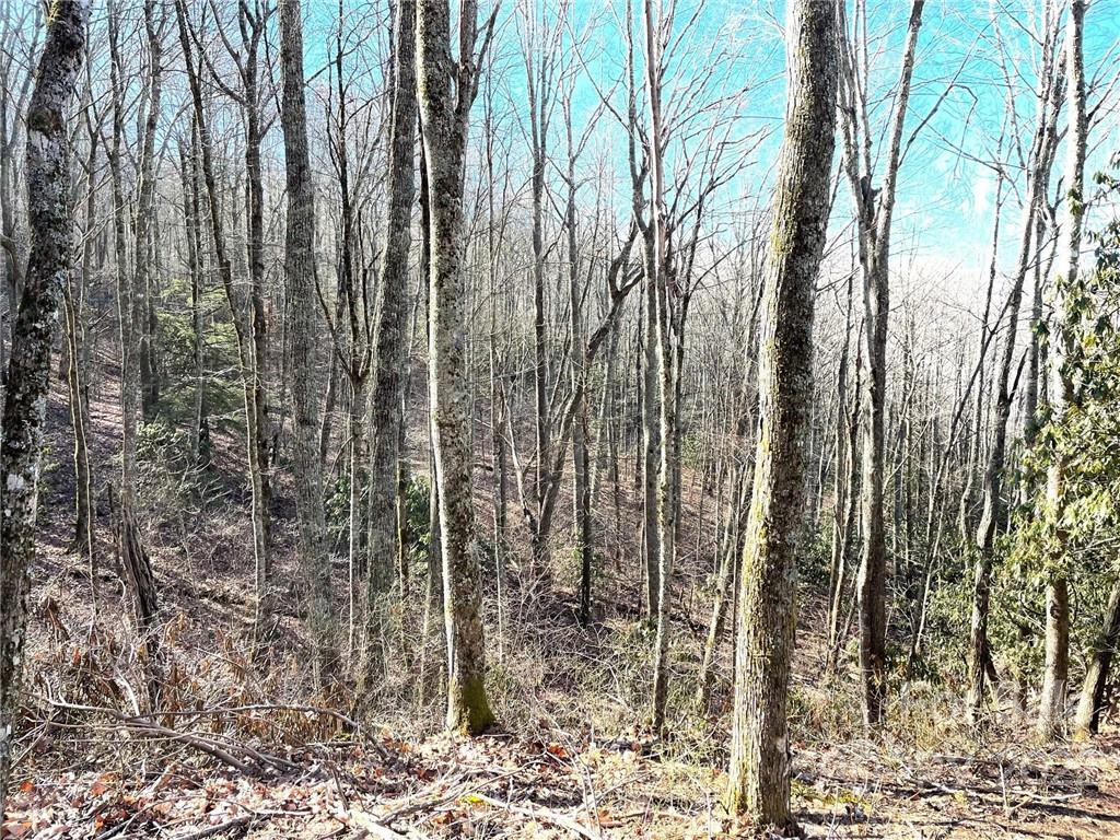 3643 Preserve Road, Unit 101 Sylva, NC 28779 - Photo 3 of 20 Gallery Image 3