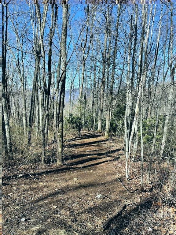 3643 Preserve Road, Unit 101 Sylva, NC 28779 - Photo 4 of 20 Gallery Image 4