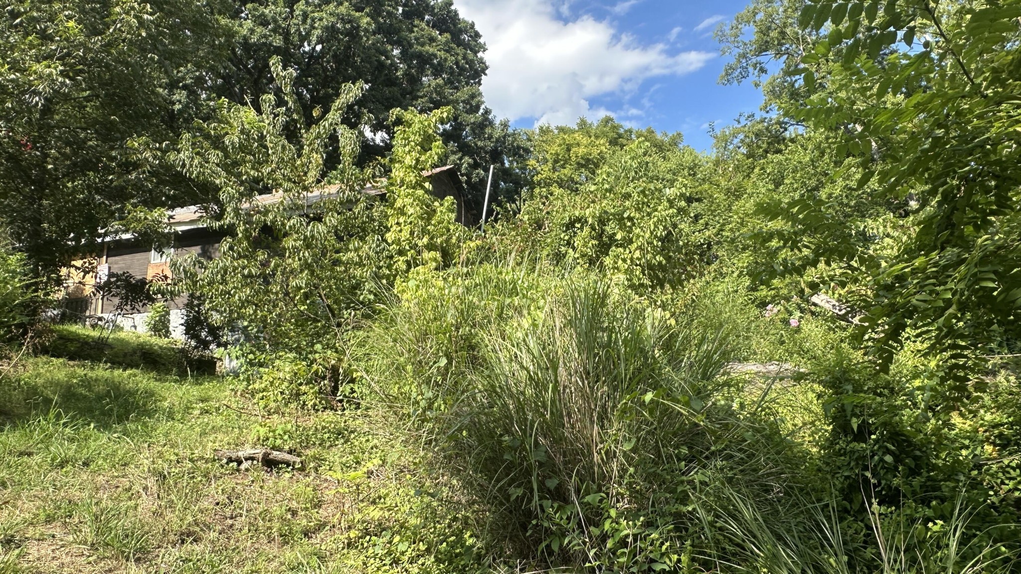 160 Dal Brown Road Chattanooga, TN 37405 - Photo 11 of 22