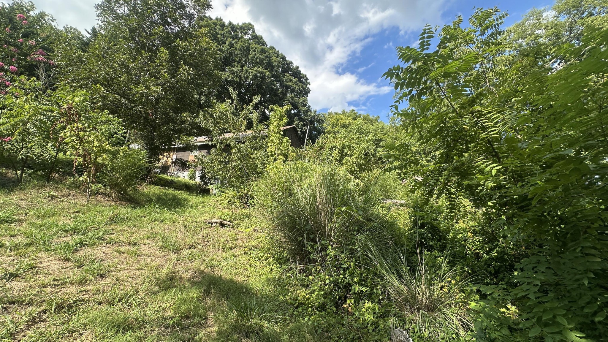 160 Dal Brown Road Chattanooga, TN 37405 - Photo 12 of 22