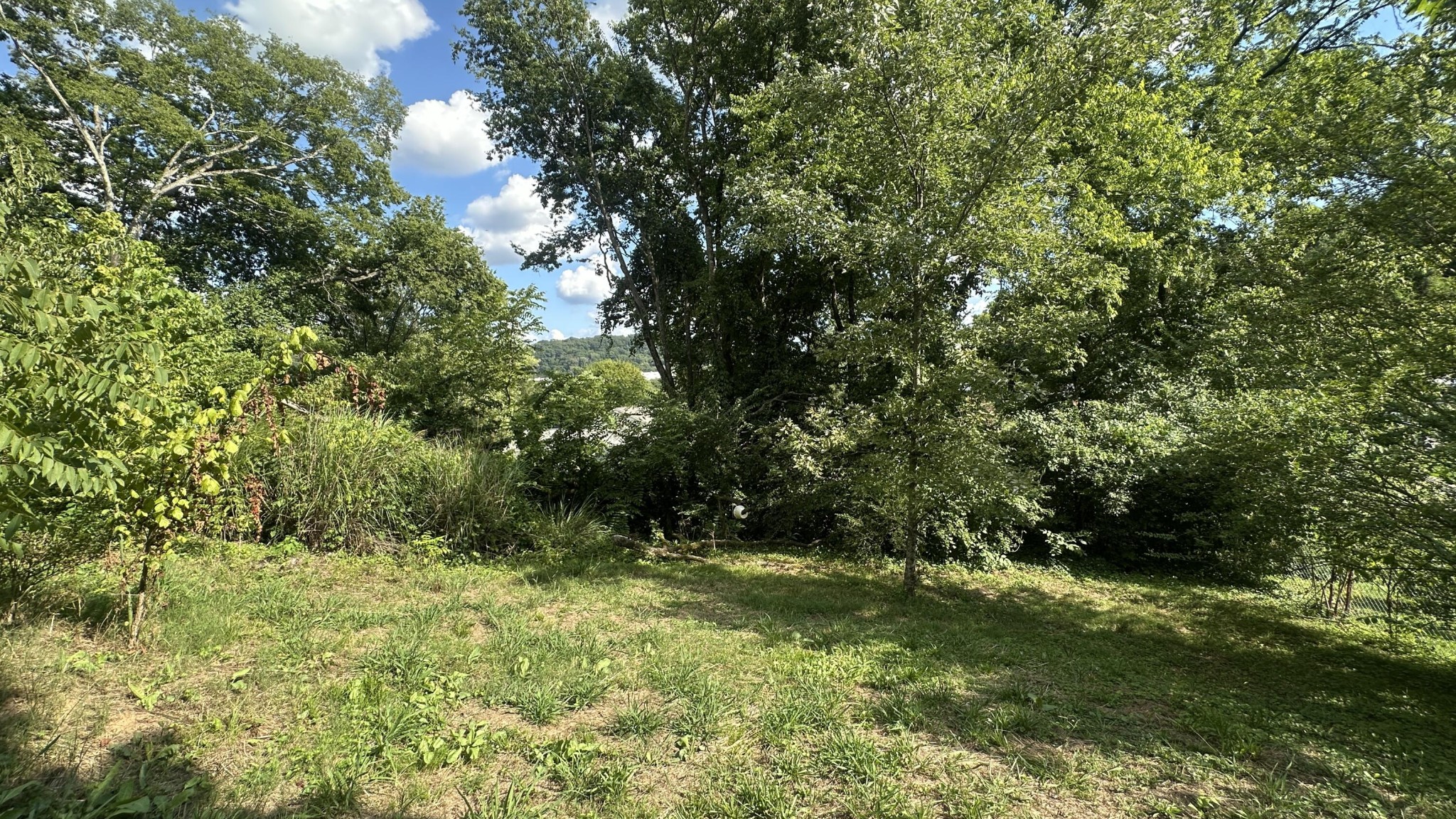 160 Dal Brown Road Chattanooga, TN 37405 - Photo 14 of 22