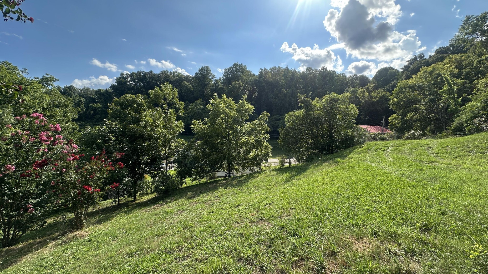 160 Dal Brown Road Chattanooga, TN 37405 - Photo 15 of 22