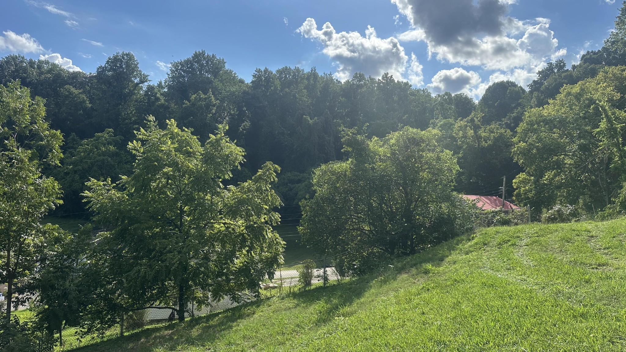 160 Dal Brown Road Chattanooga, TN 37405 - Photo 16 of 22