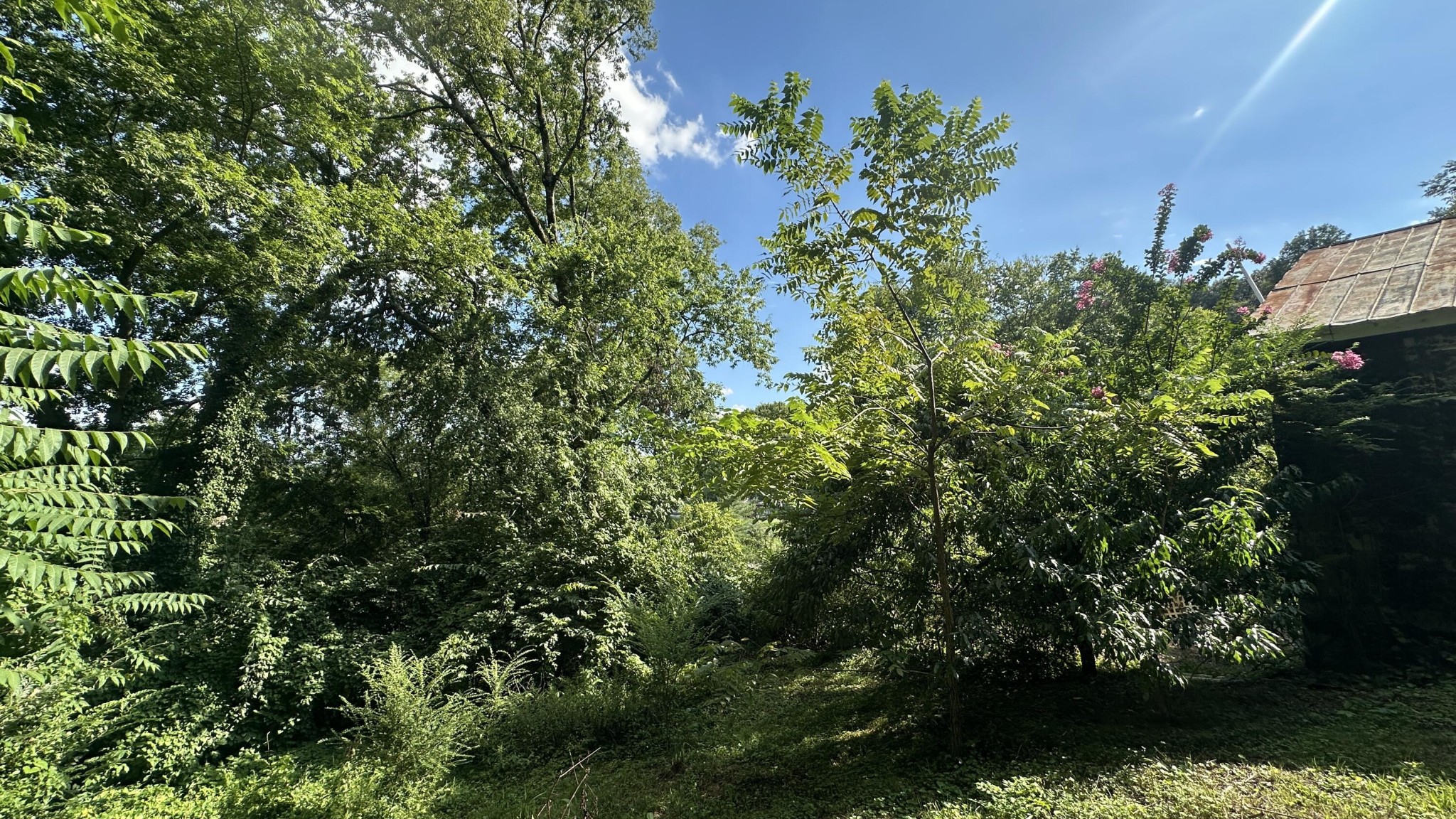 160 Dal Brown Road Chattanooga, TN 37405 - Photo 6 of 22