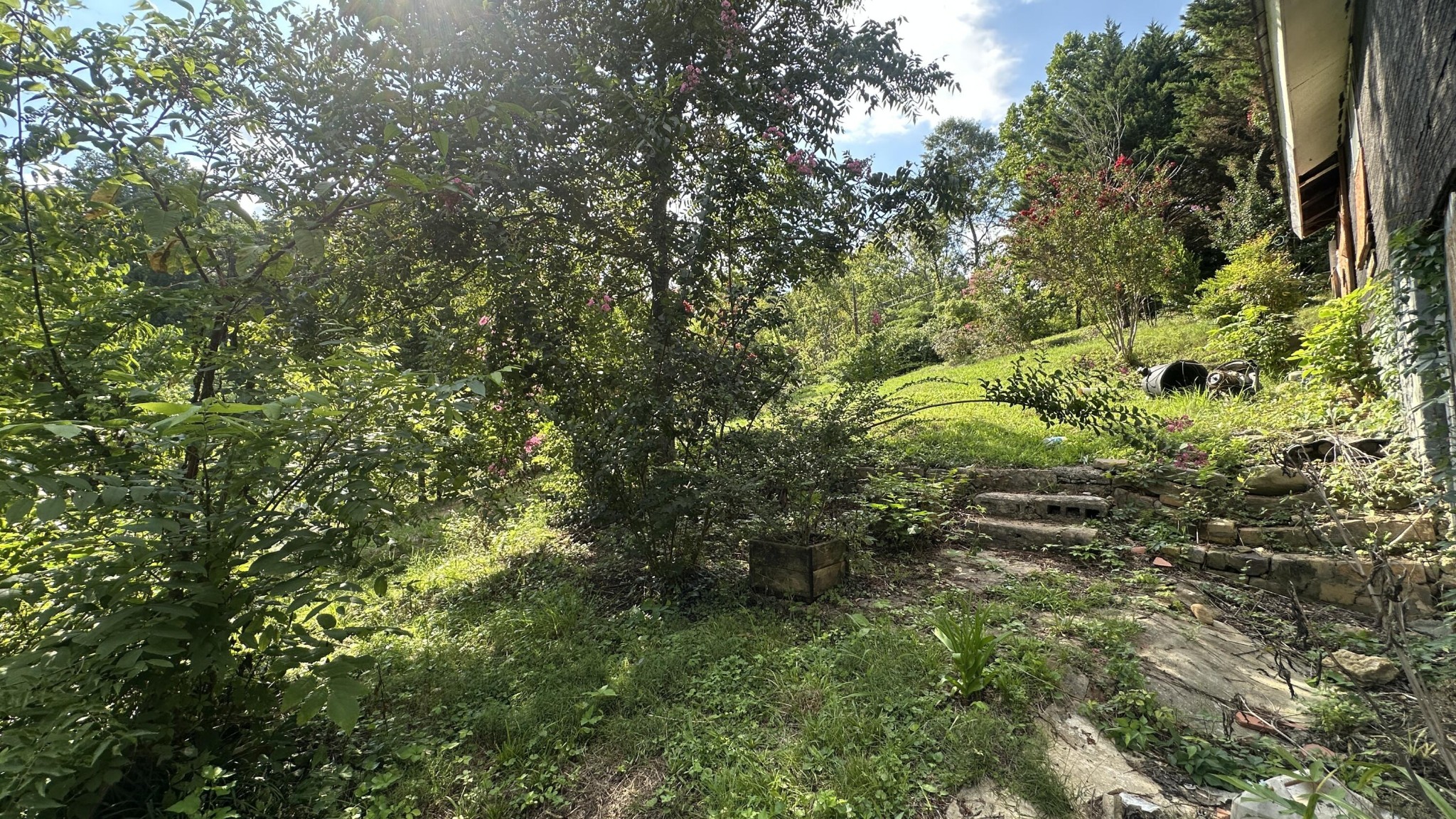 160 Dal Brown Road Chattanooga, TN 37405 - Photo 9 of 22