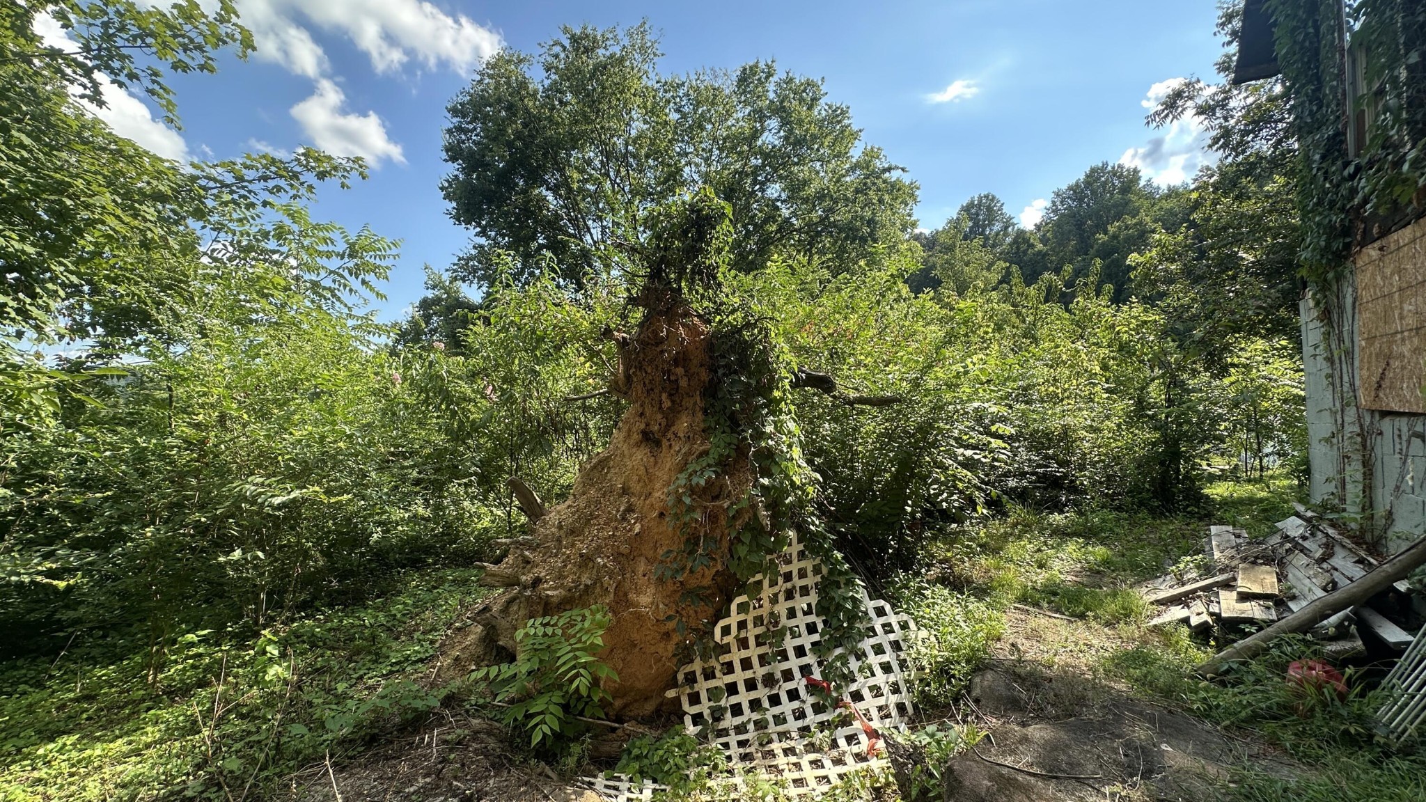 160 Dal Brown Road Chattanooga, TN 37405 - Photo 10 of 22