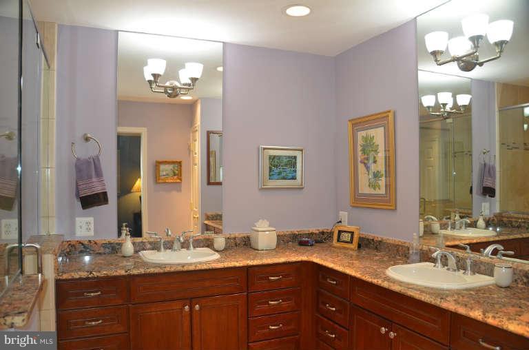 10180 Red Spruce Road Fairfax, VA 22032 - Photo 14 of 25 Bath (Master)