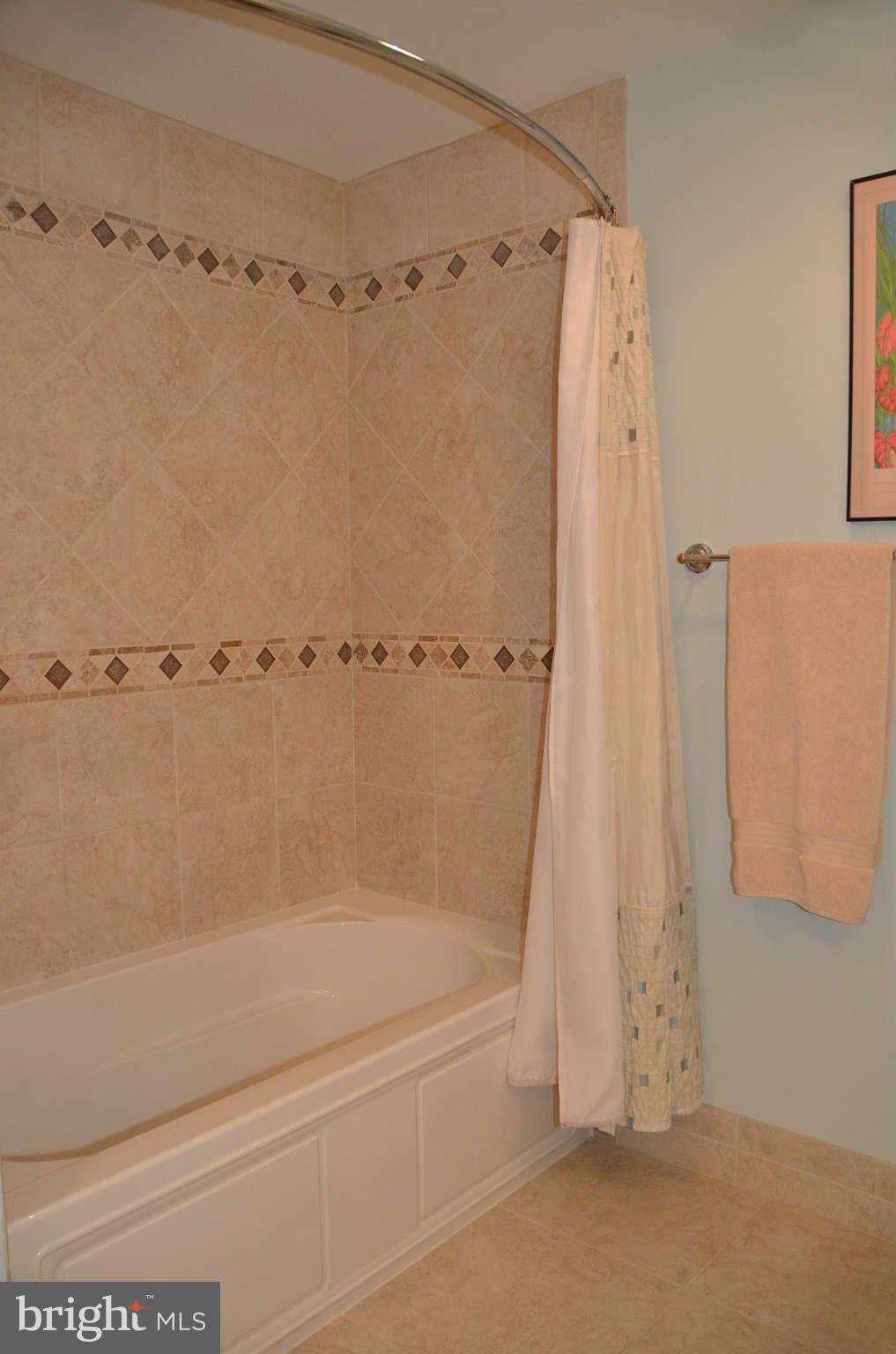 10180 Red Spruce Road Fairfax, VA 22032 - Photo 17 of 25 Hall Full Bath
