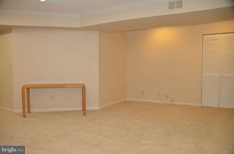 10180 Red Spruce Road Fairfax, VA 22032 - Photo 21 of 25 Spacious Lower Level
