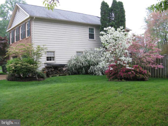 10180 Red Spruce Road Fairfax, VA 22032 - Photo 23 of 25 Spring Foliage