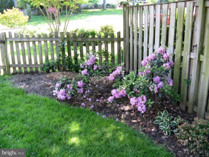 10180 Red Spruce Road Fairfax, VA 22032 - Photo 24 of 25 Rear Yard Foliage