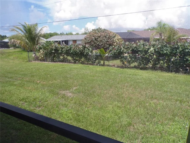 a view of a yard with a large tree