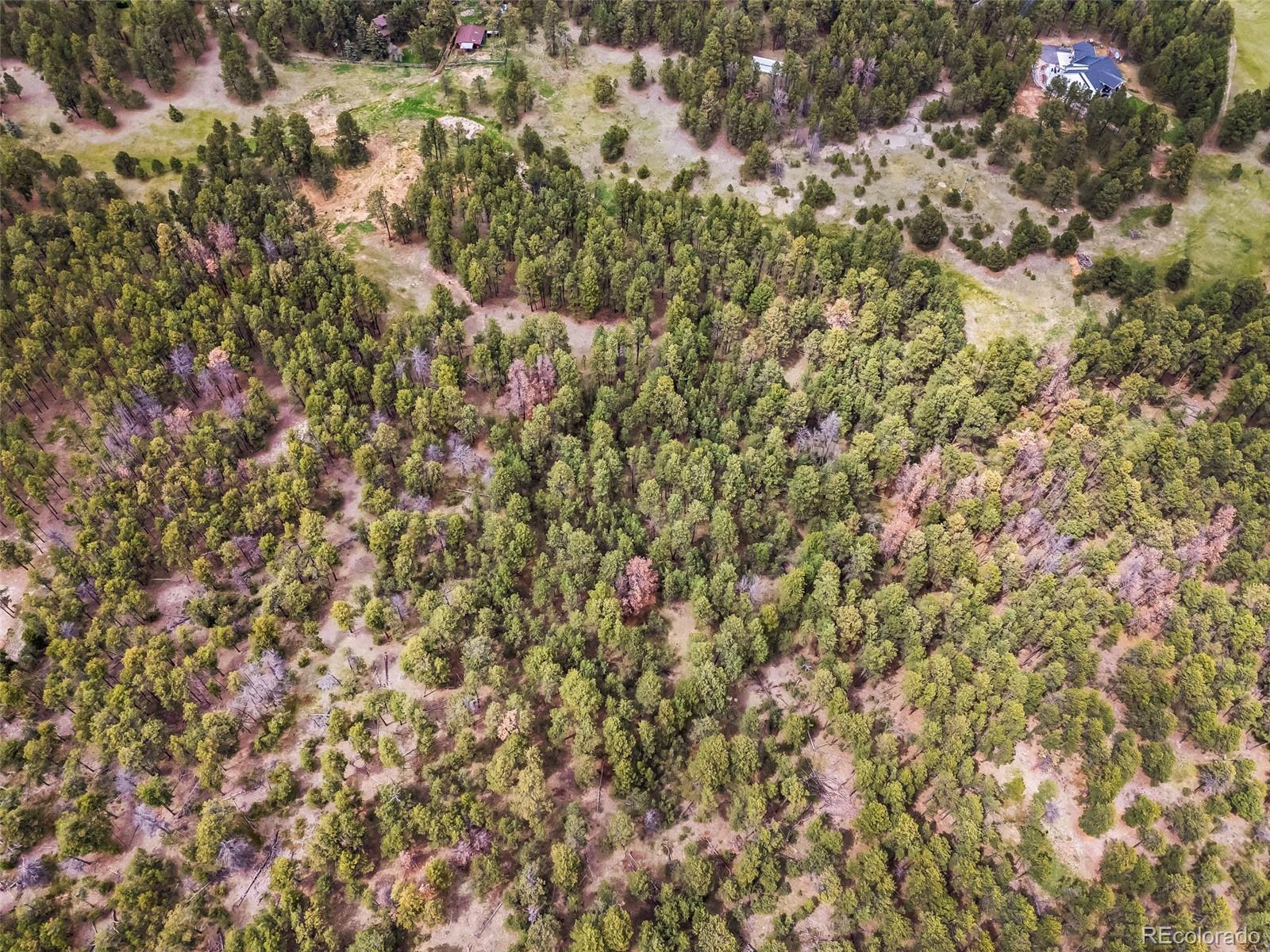 10655 Hardy Road Colorado Springs, CO 80908 - Photo 17 of 32