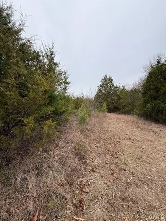 $194,900 | 5387 Hurryville Road, Farmington, MO 63640