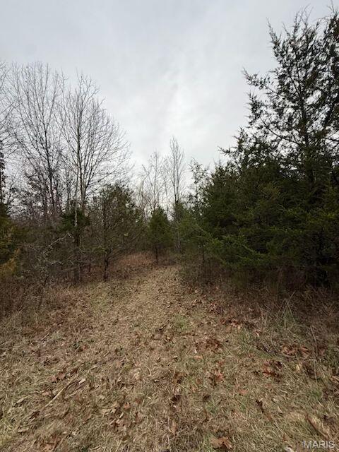 5387 Hurryville Road Farmington, MO 63640 - Photo 3 of 9