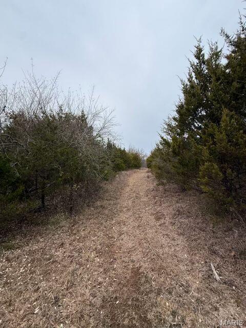 5387 Hurryville Road Farmington, MO 63640 - Photo 4 of 9