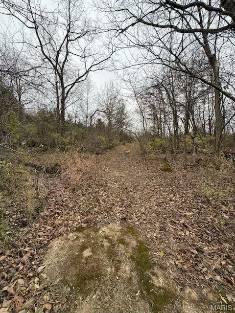 5387 Hurryville Road Farmington, MO 63640 - Photo 5 of 9