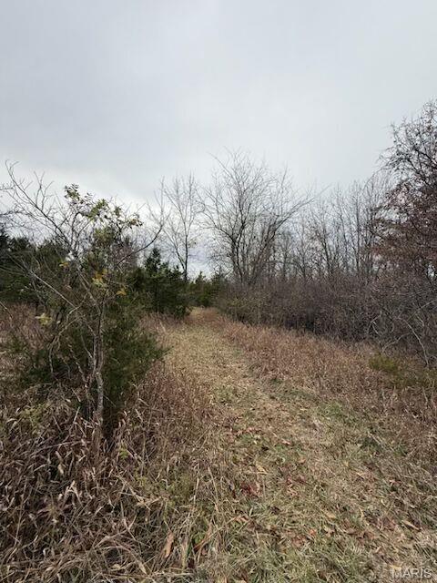 5387 Hurryville Road Farmington, MO 63640 - Photo 7 of 9