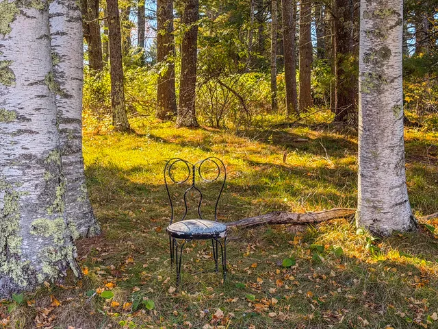 $425,000 | 101 Marshall Shore Road, Liberty, ME 04949