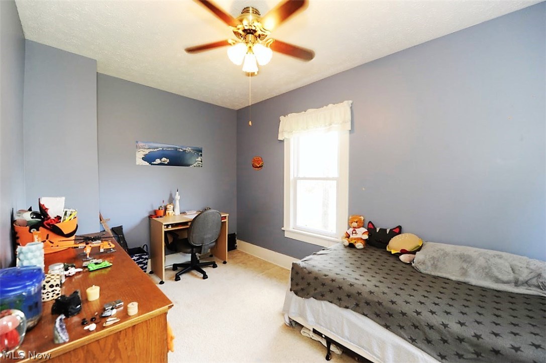 3925 Johnson Road Norton, OH 44203 - Photo 19 of 25 Bdrm #3
