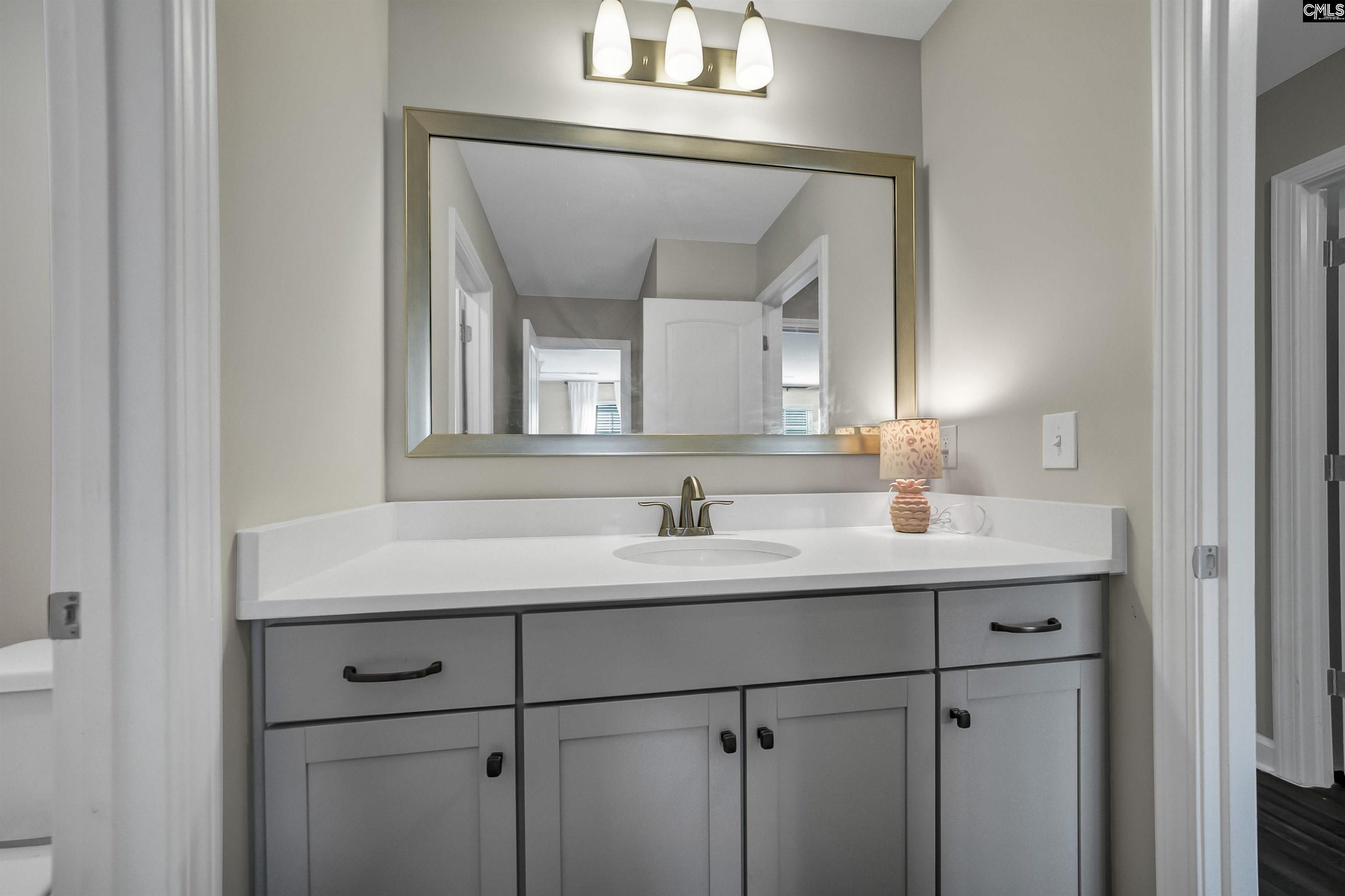 515 Malachite Lane Chapin, SC 29036 - Photo 43 of 63 a bathroom with a sink and a mirror