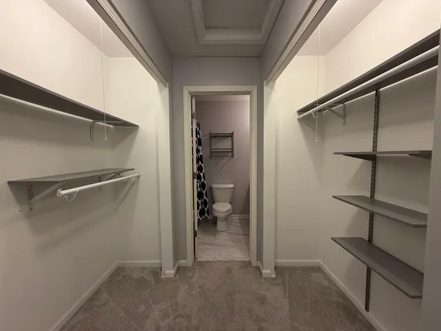 a bathroom with a shower curtain