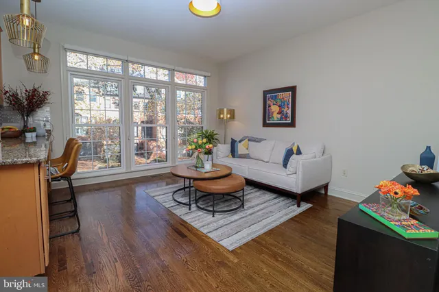 a living room with furniture and a potted plant