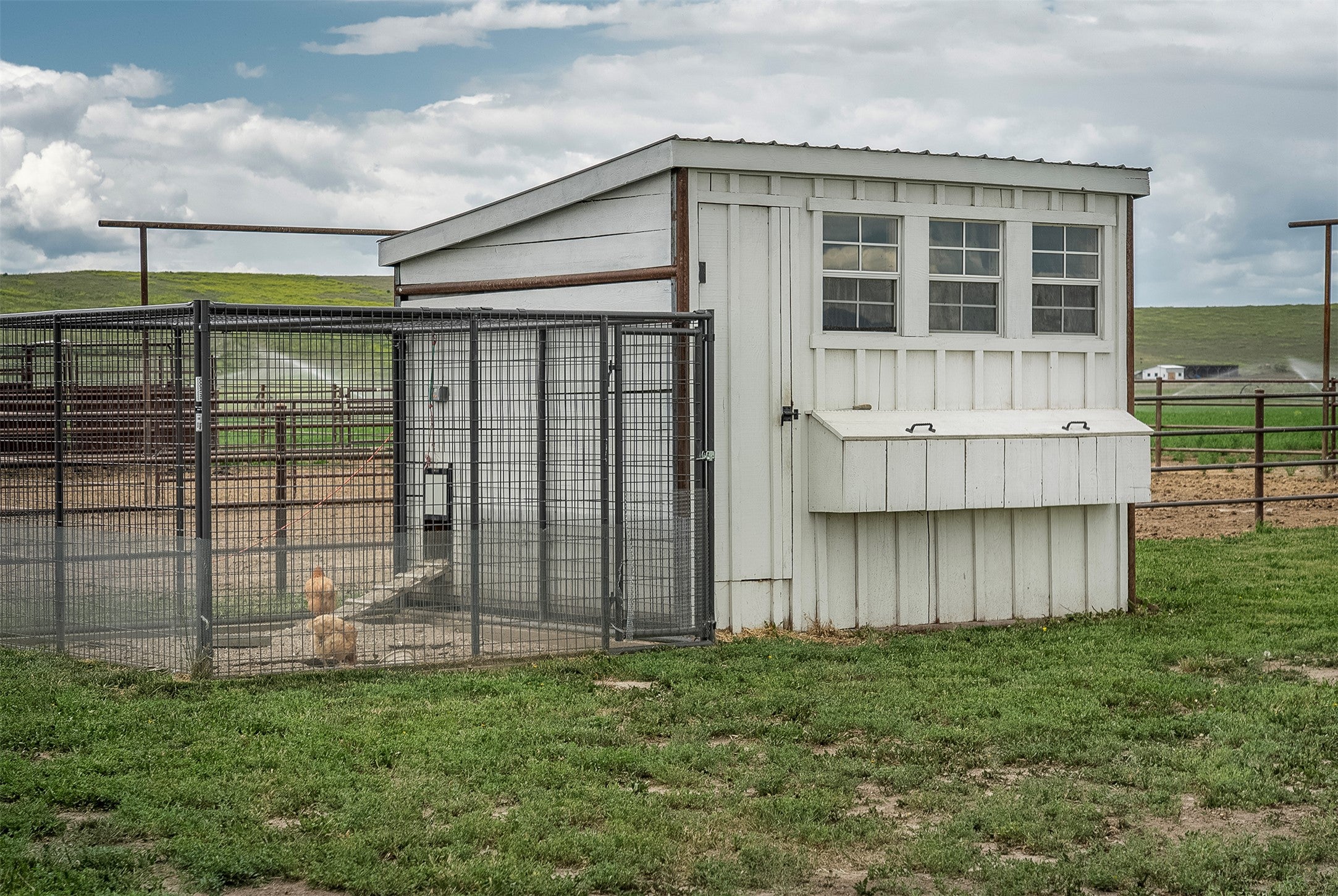 45331 Turnquist Road Ronan, MT 59864 - Photo 73 of 78 chicken coop
