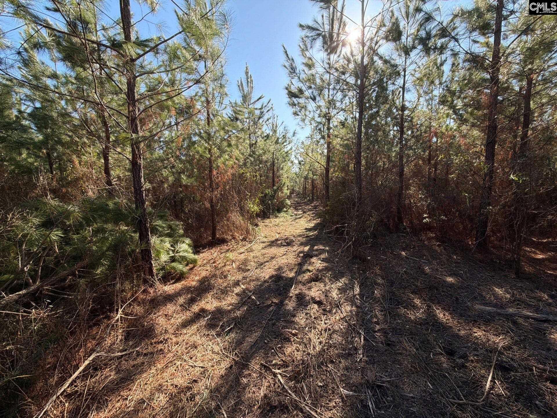 8 Brunson Teal Road, Unit BFF II 8 Patrick, SC 29584 - Photo 3 of 25