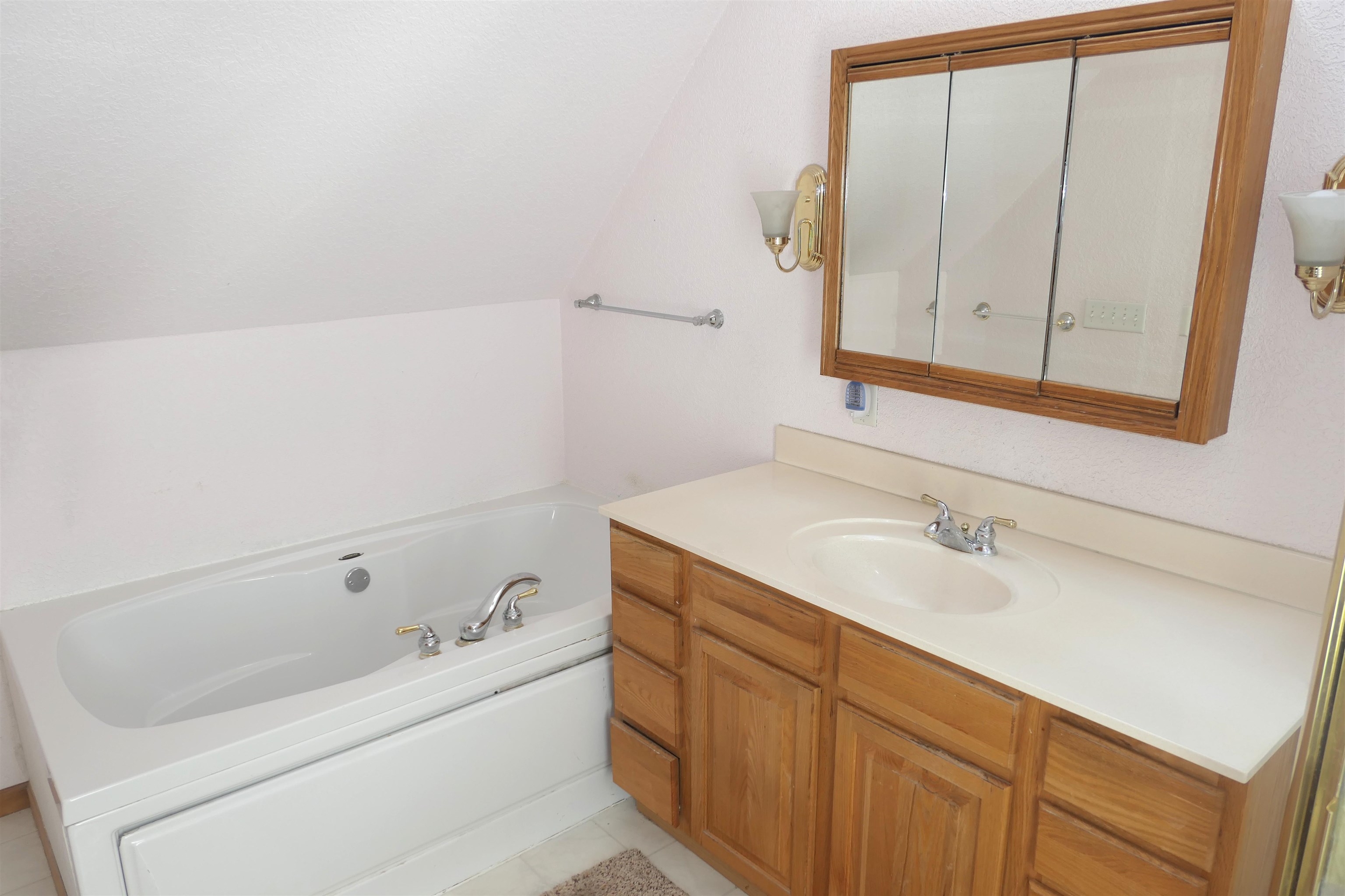 4769 Feather Trail Edmore, MI 48829 - Photo 28 of 53