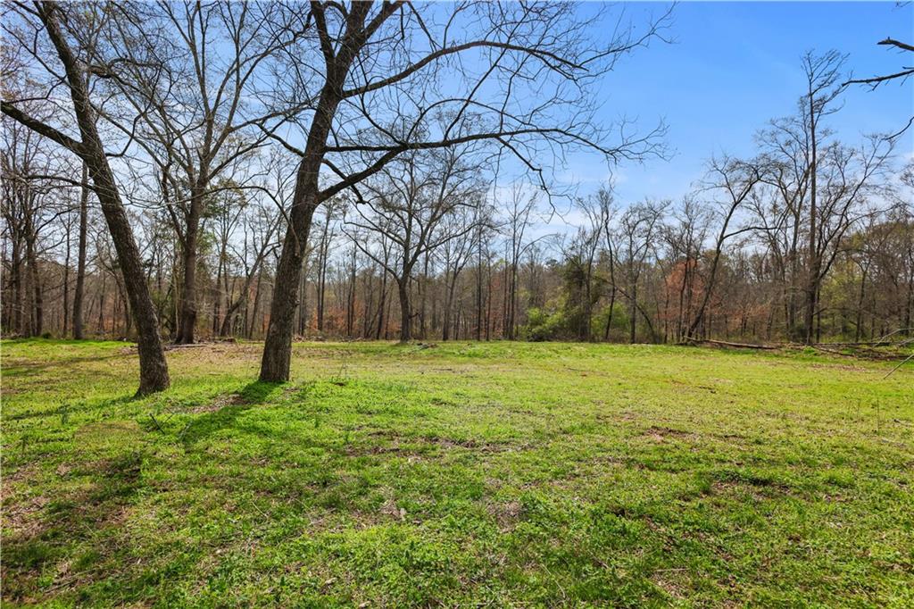 0 Winford Smith Road Athens, GA 30607 - Photo 11 of 18 a view of backyard with tree