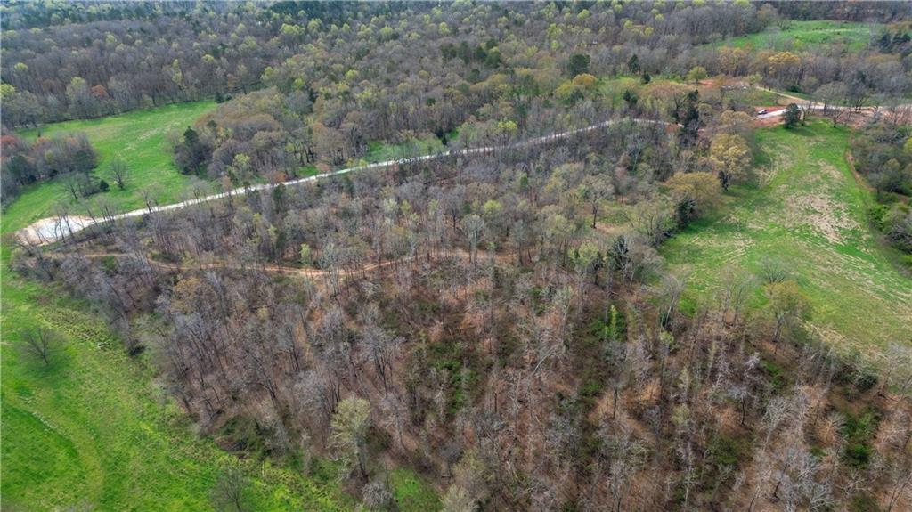 0 Winford Smith Road Athens, GA 30607 - Photo 16 of 18 a view of a forest with a forest