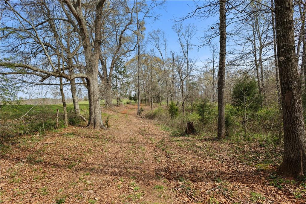 0 Winford Smith Road Athens, GA 30607 - Photo 5 of 18 a view of a forest filled with trees