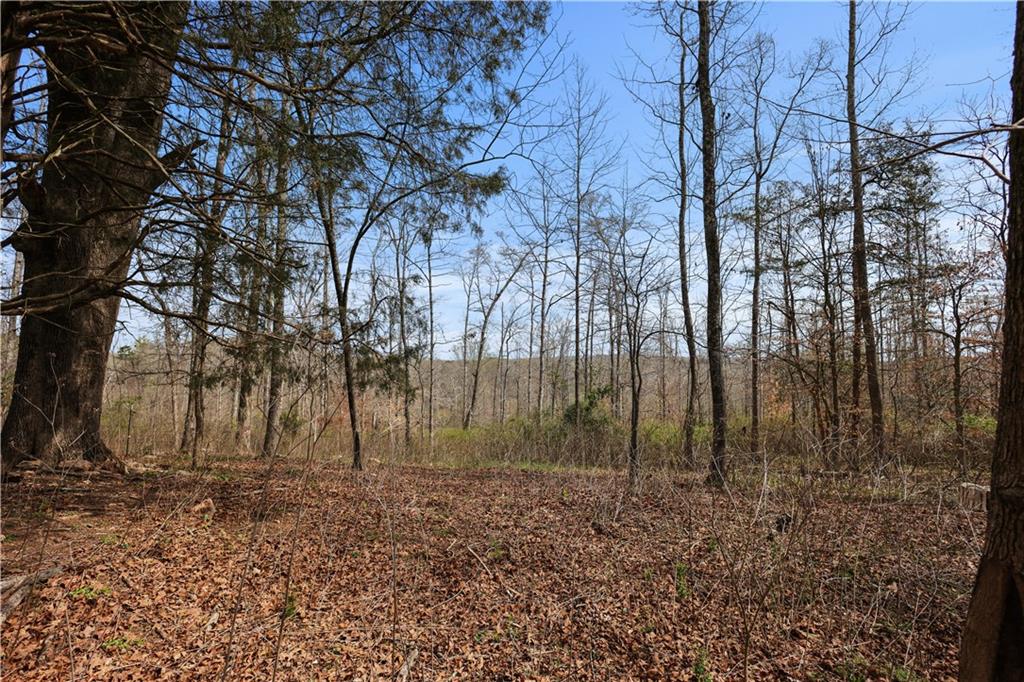 0 Winford Smith Road Athens, GA 30607 - Photo 6 of 18 a view of backyard with trees