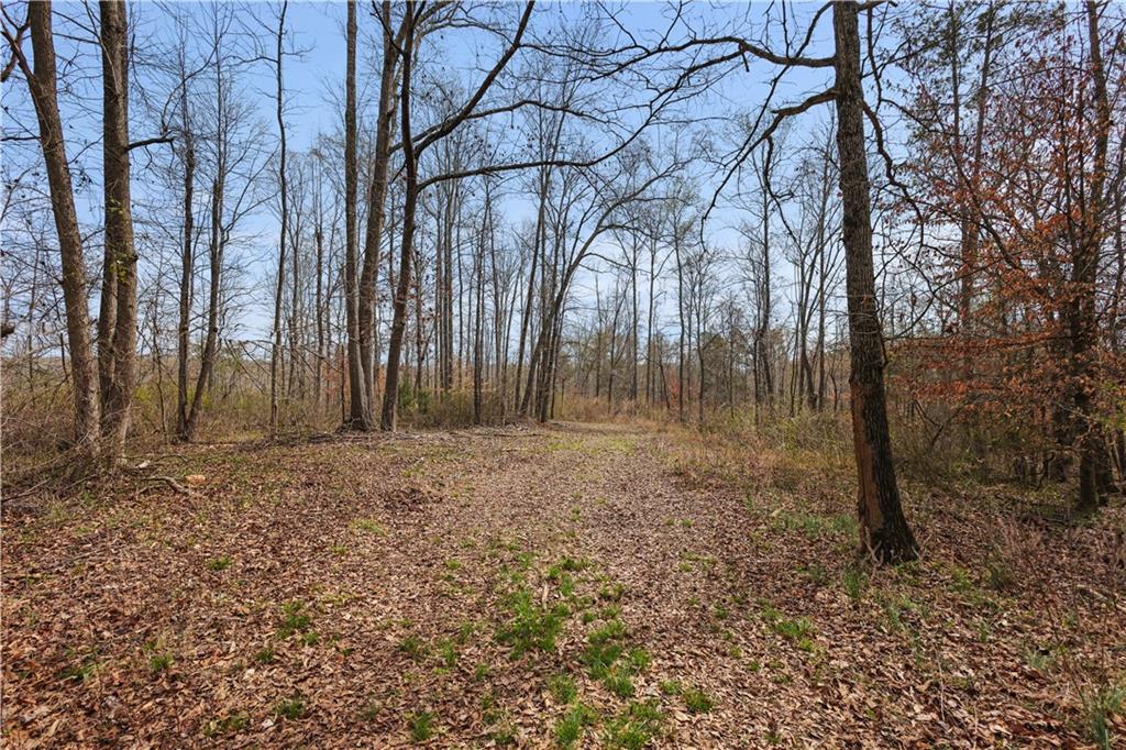 0 Winford Smith Road Athens, GA 30607 - Photo 7 of 18 a backyard of a house with lots of green space