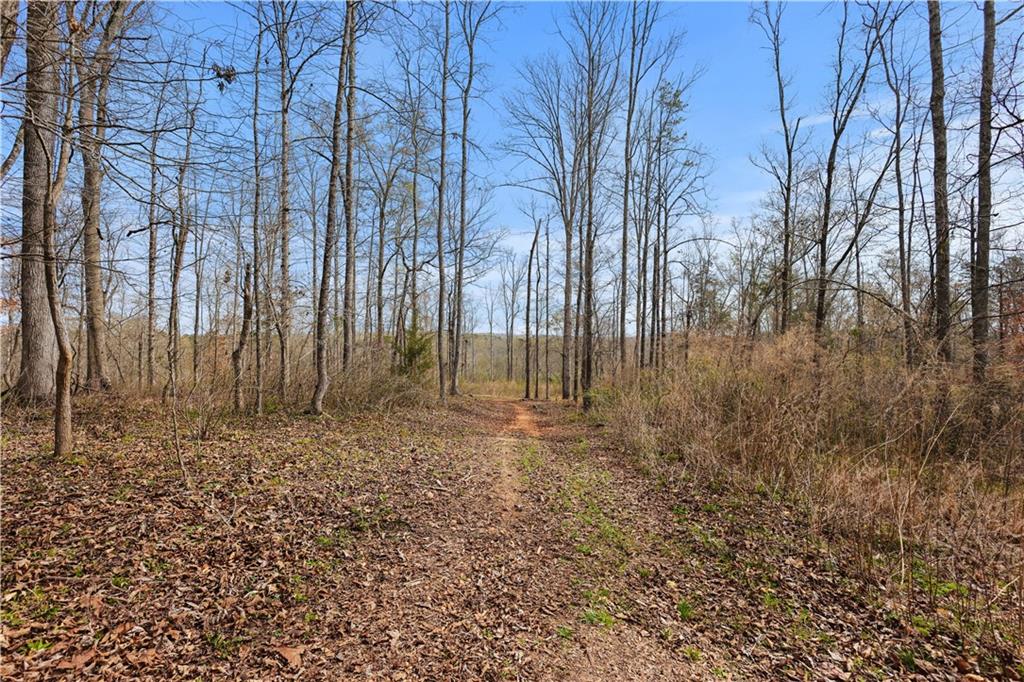 0 Winford Smith Road Athens, GA 30607 - Photo 8 of 18 a backyard of a house with lots of tall trees