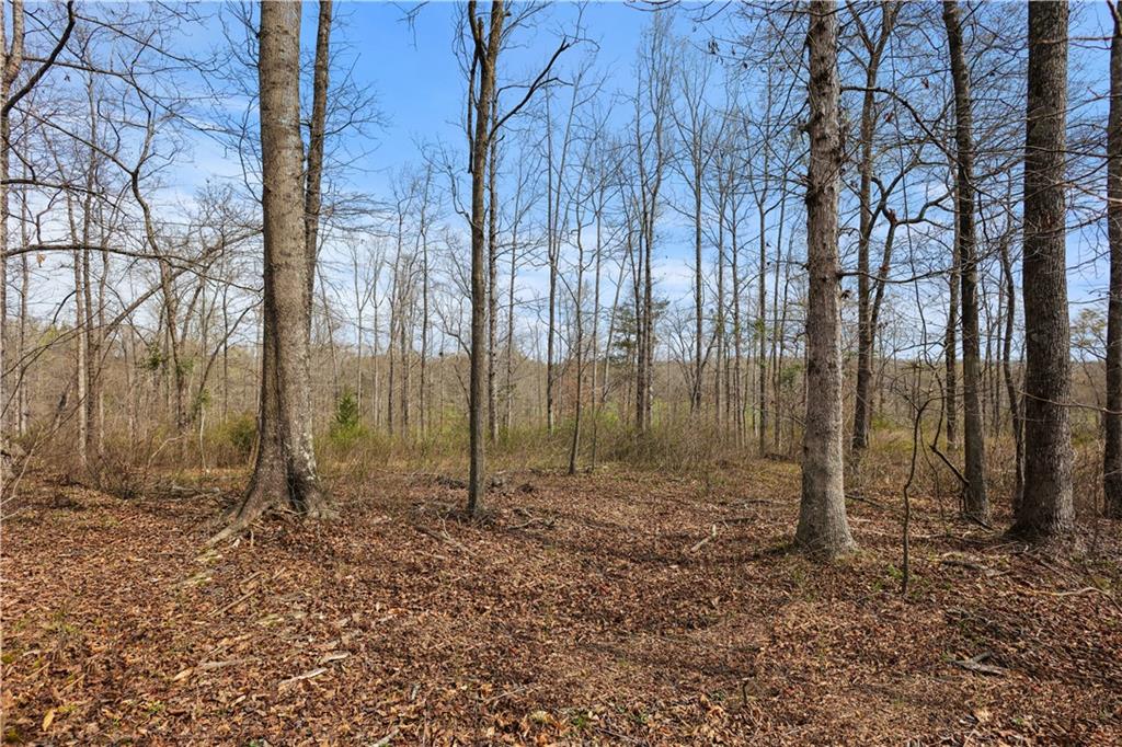 0 Winford Smith Road Athens, GA 30607 - Photo 9 of 18 a view of a backyard