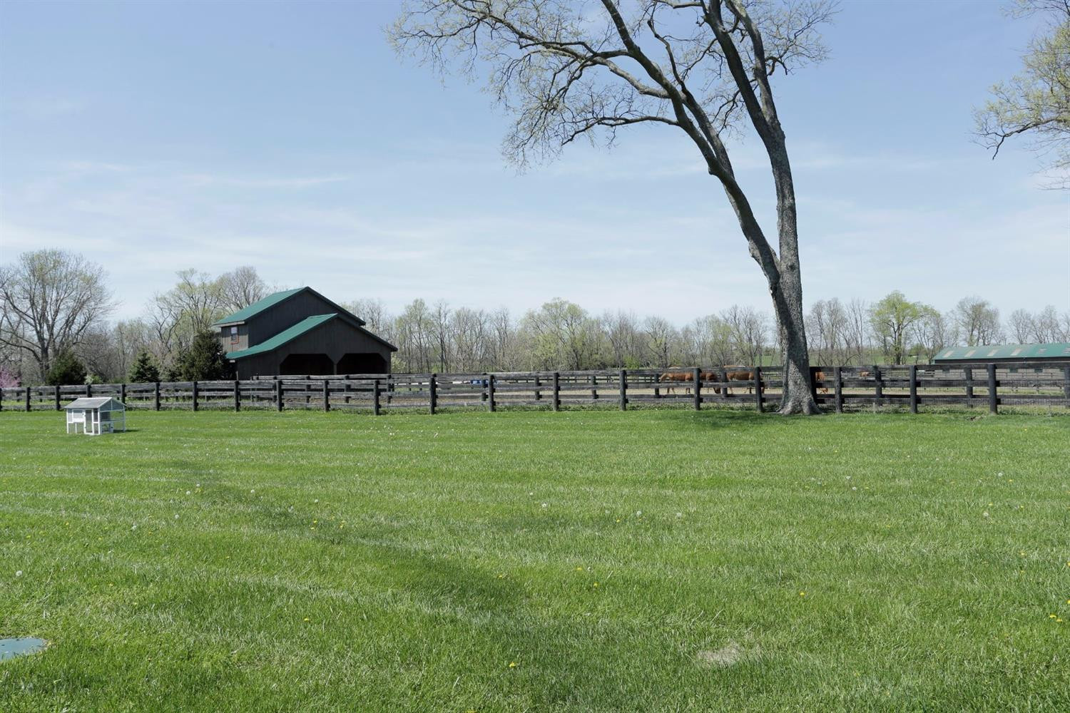 5295 Bryan Station Road Paris, KY 40361 - Photo 47 of 53 Photo 47