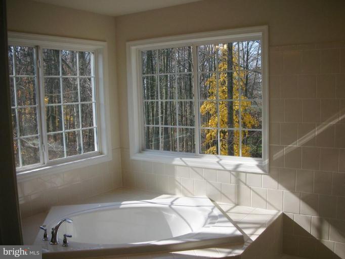 12400 Timber Grove Road Owings Mills, MD 21117 - Photo 11 of 12 Master Bath