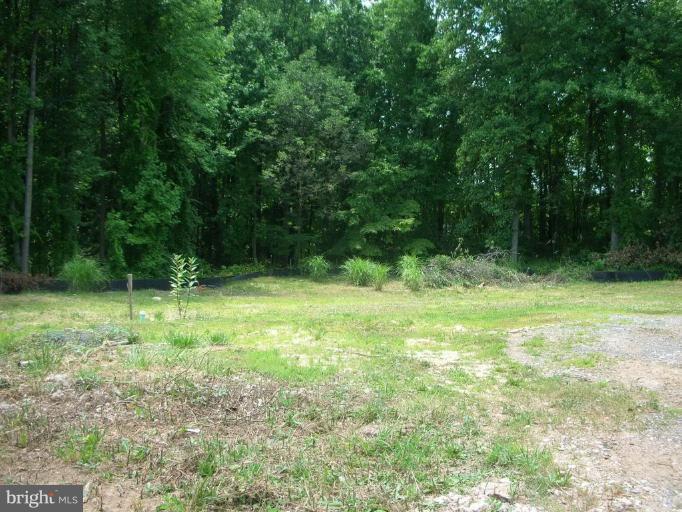 12400 Timber Grove Road Owings Mills, MD 21117 - Photo 3 of 12 Wooded View / Acreage