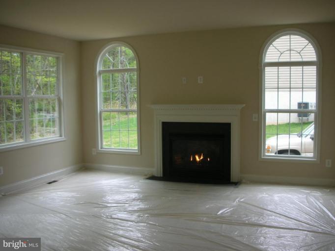 12400 Timber Grove Road Owings Mills, MD 21117 - Photo 5 of 12 Fireplace