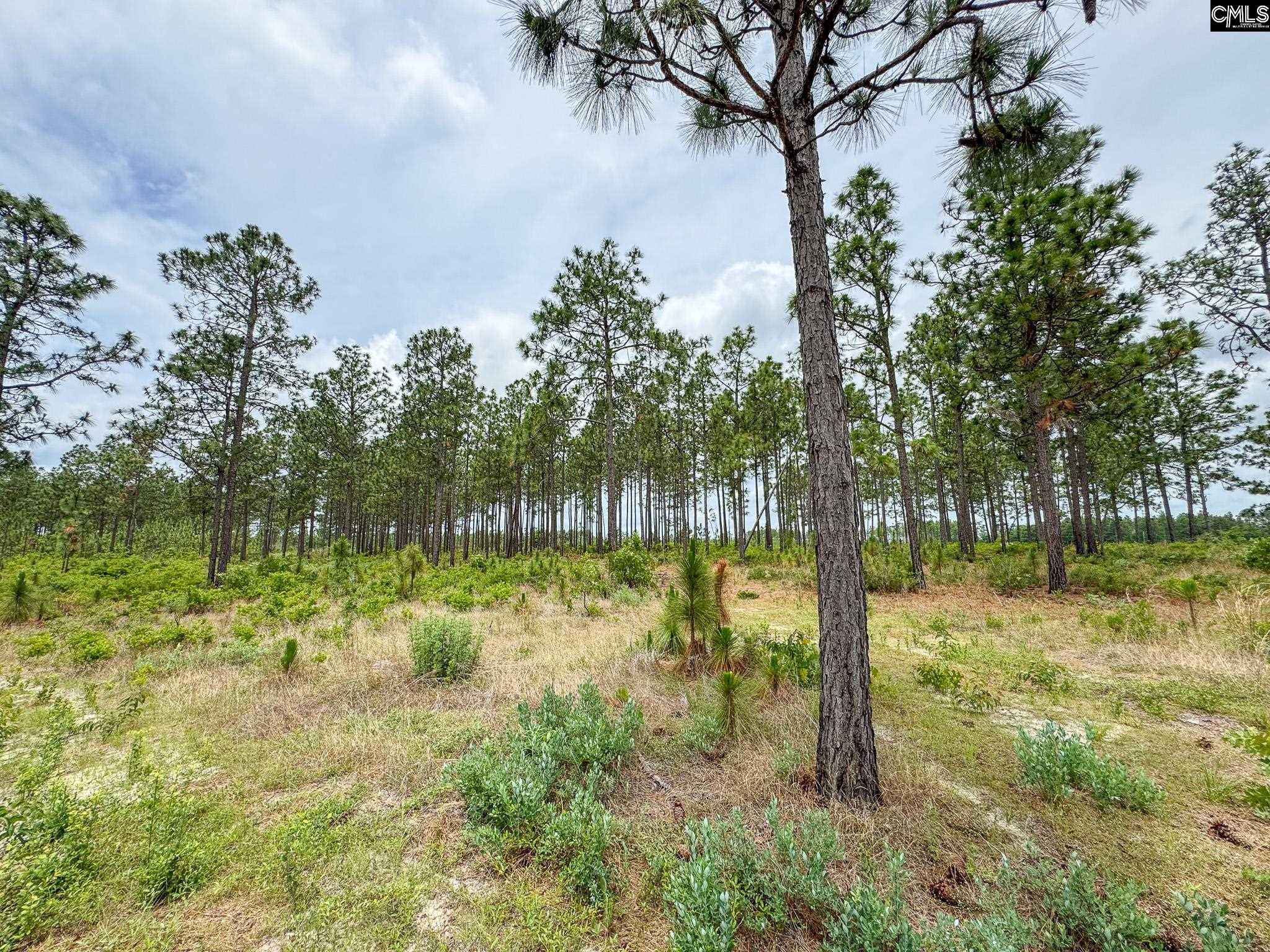 0 Neely Wingard Road, Unit LOT 11 Leesville, SC 29070 - Photo 3 of 6