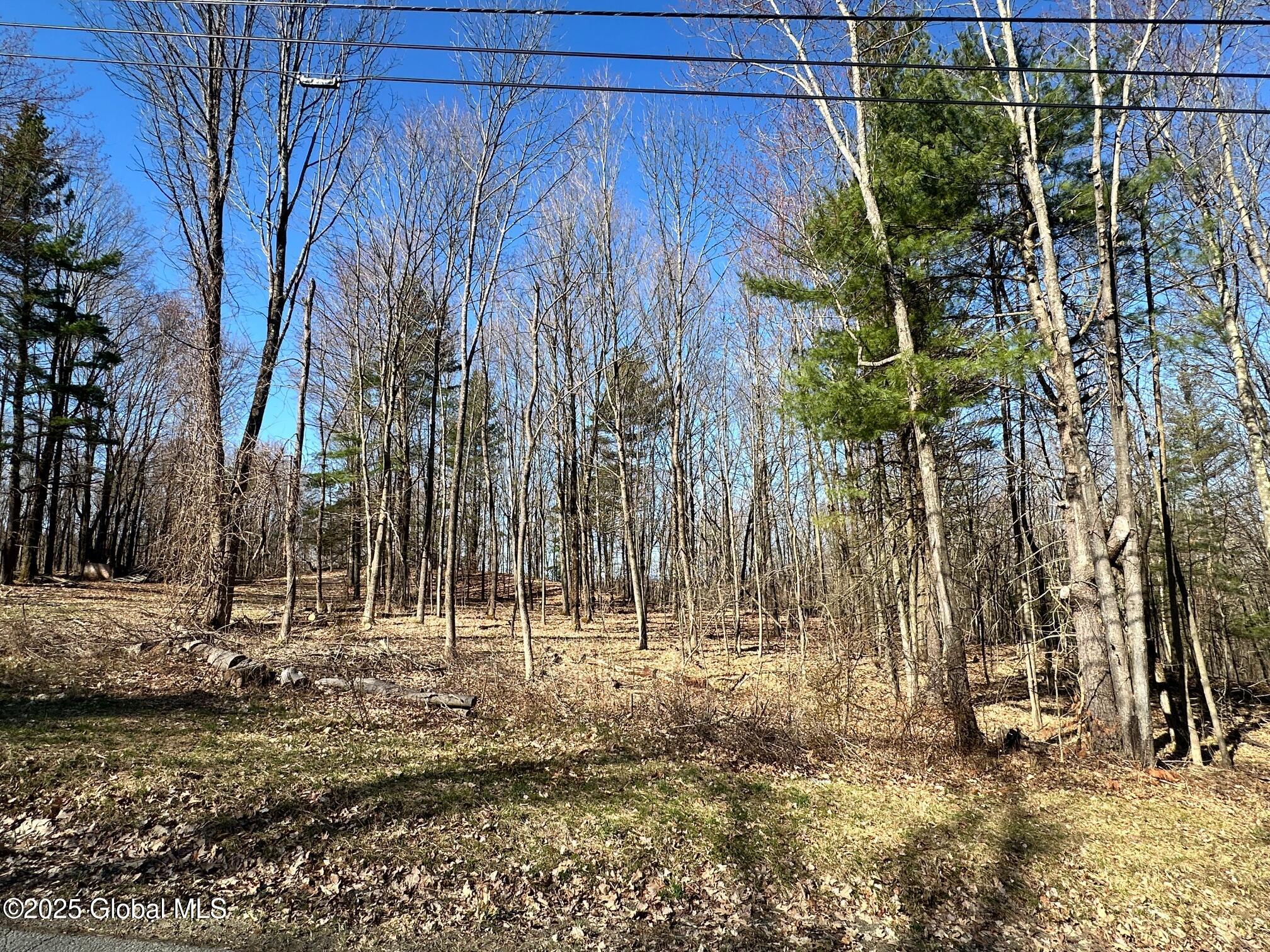 L26 Snake Hill Road Poestenkill, NY 12140 - Photo 1 of 12 IMG_4722