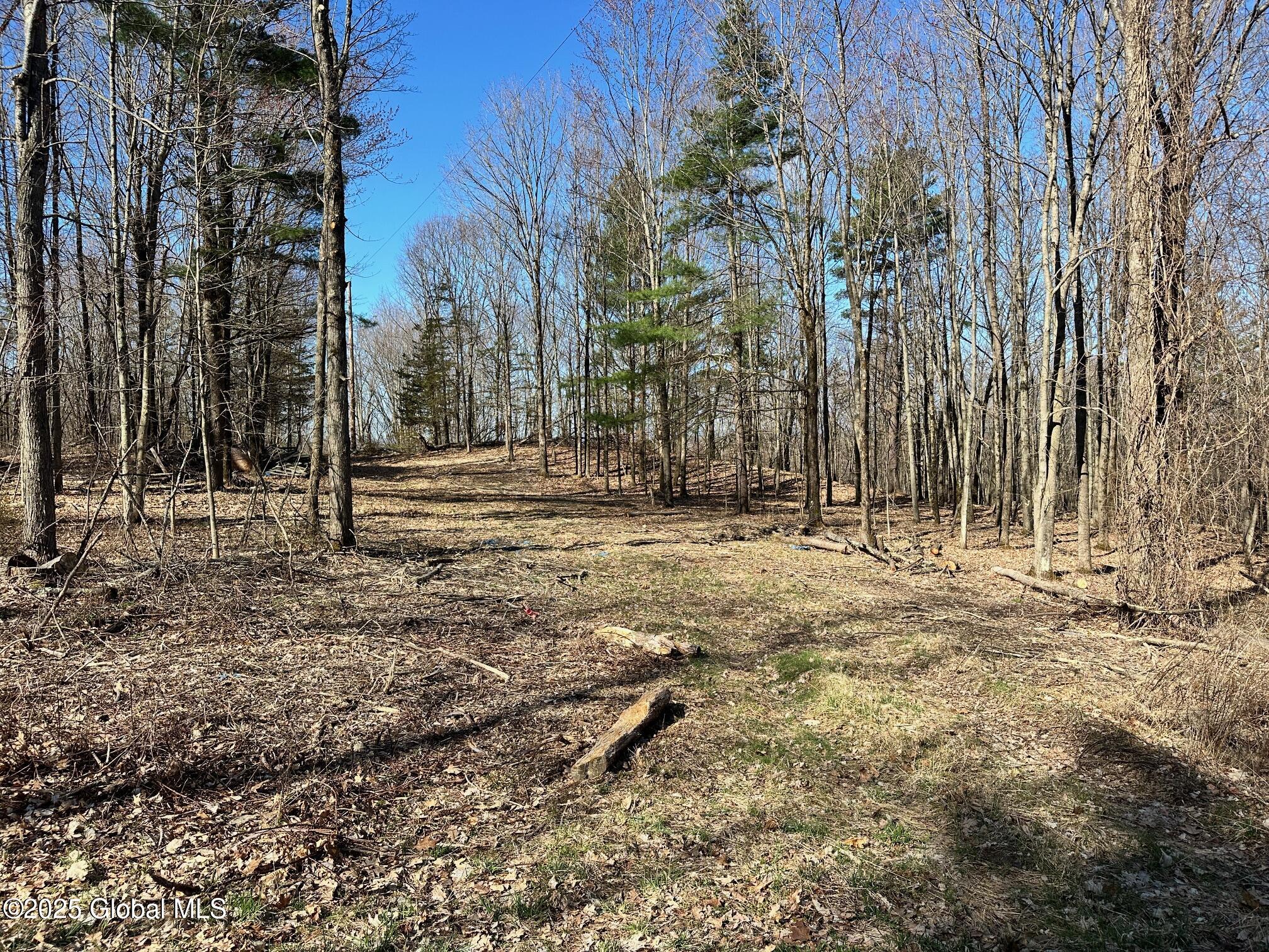 L26 Snake Hill Road Poestenkill, NY 12140 - Photo 3 of 12 IMG_4720
