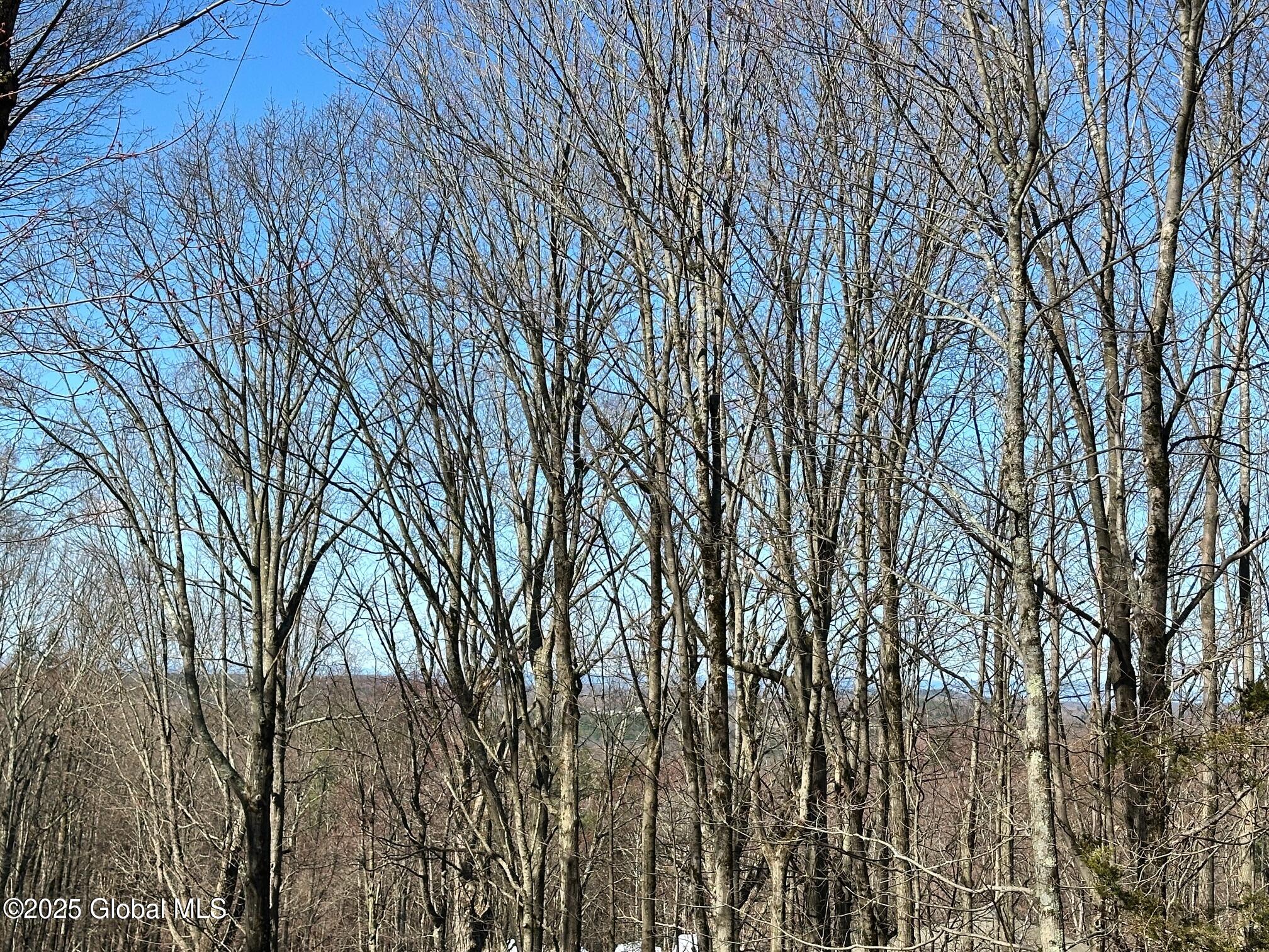 L26 Snake Hill Road Poestenkill, NY 12140 - Photo 6 of 12 IMG_4732