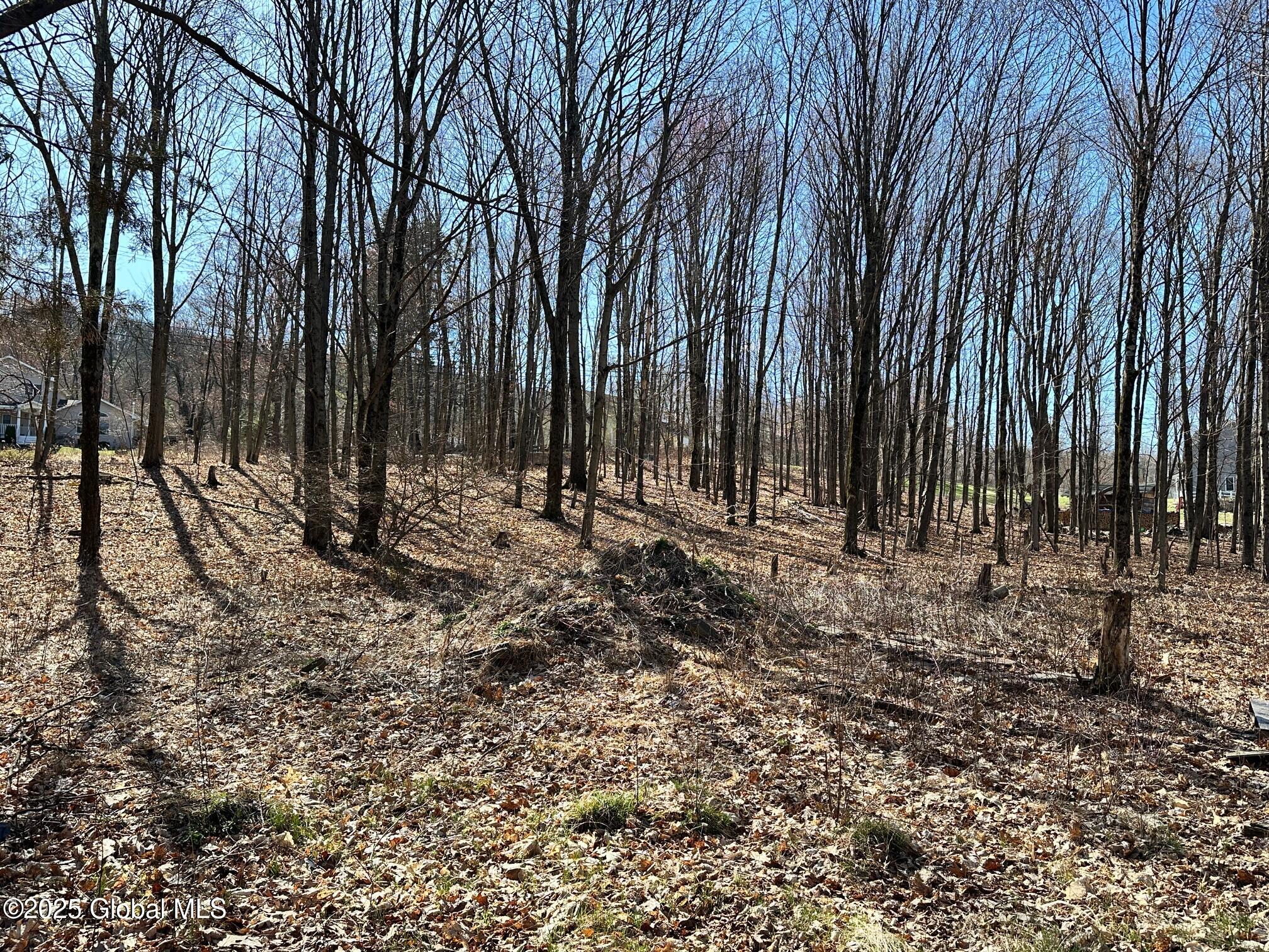 L26 Snake Hill Road Poestenkill, NY 12140 - Photo 7 of 12 IMG_4731