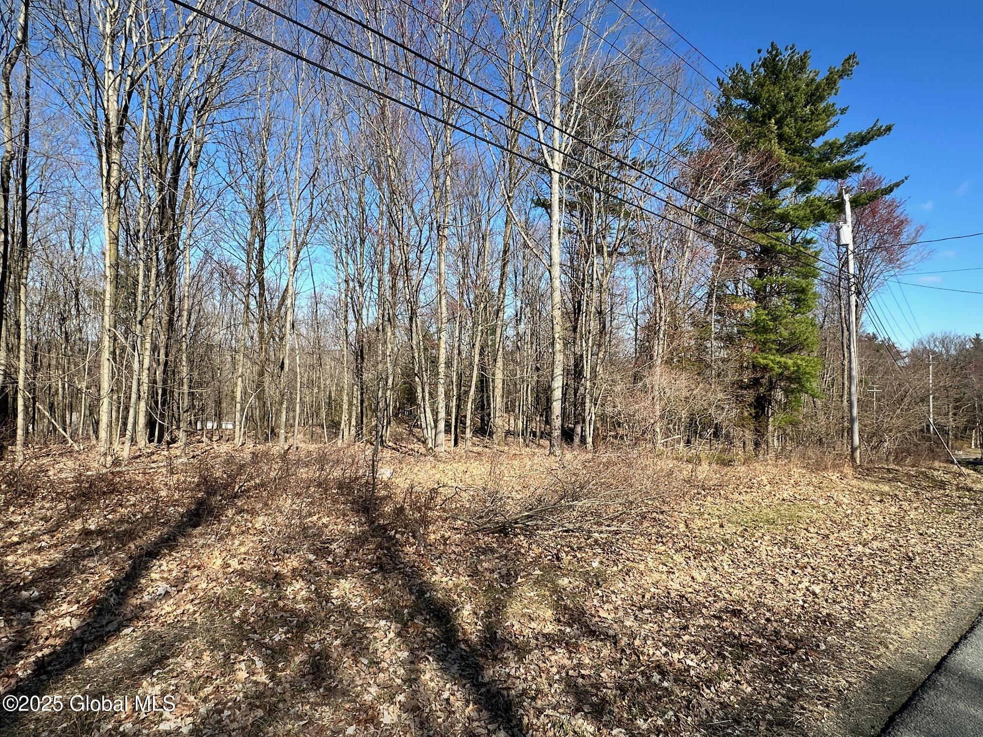 L26 Snake Hill Road Poestenkill, NY 12140 - Photo 10 of 12 IMG_4748