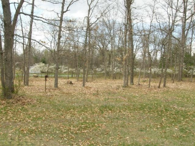 11688 North Brooks Road Irons, MI 49644 - Photo 19 of 20 Additional Photo
