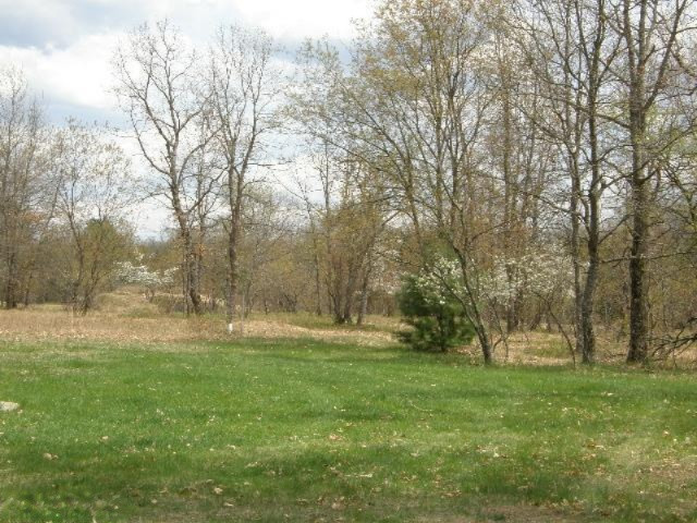11688 North Brooks Road Irons, MI 49644 - Photo 20 of 20 Additional Photo
